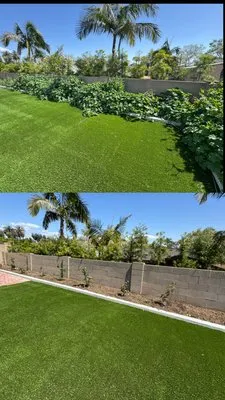 Sunscape Lawn Care Logo