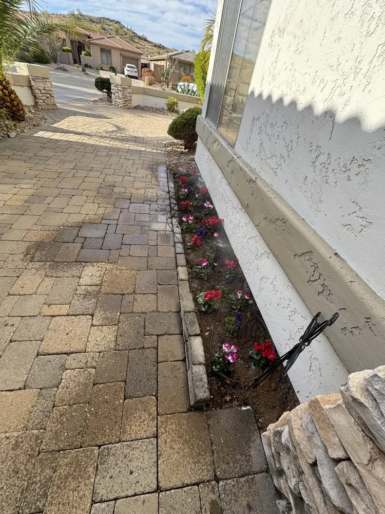 Trusted yard maintenance in Phoenix, AZ - Sunscape Service