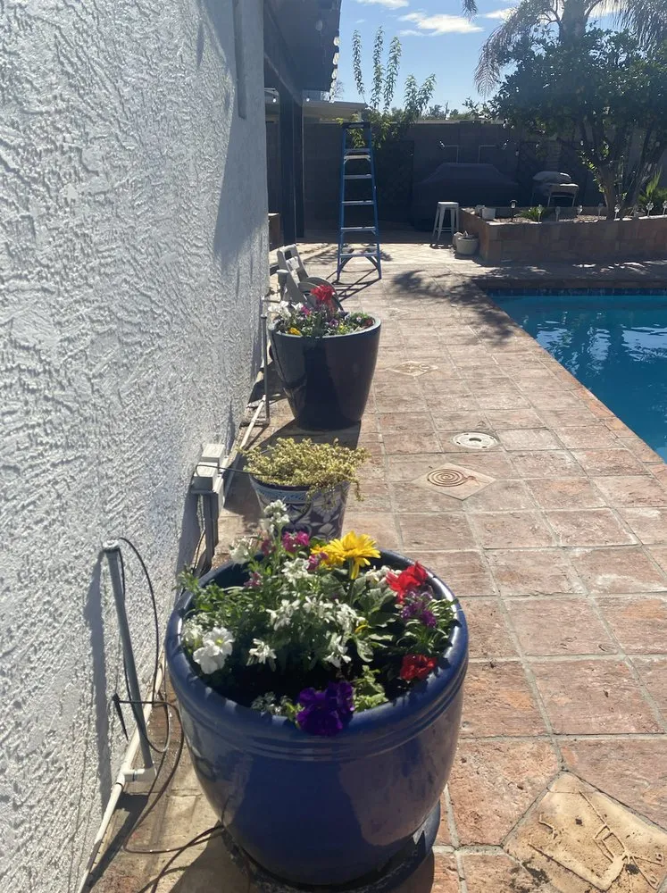 Expert residential landscaping with custom design in Phoenix, AZ by Sunscape Service