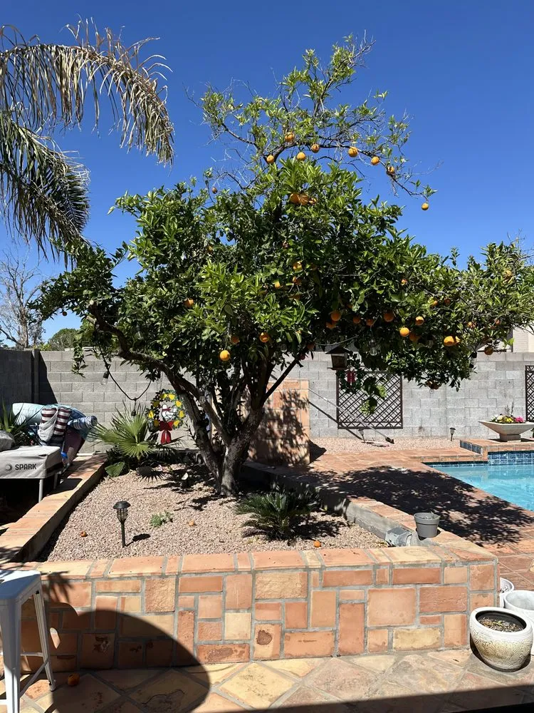 Reliable residential landscaping in Phoenix, AZ - Sunscape Service