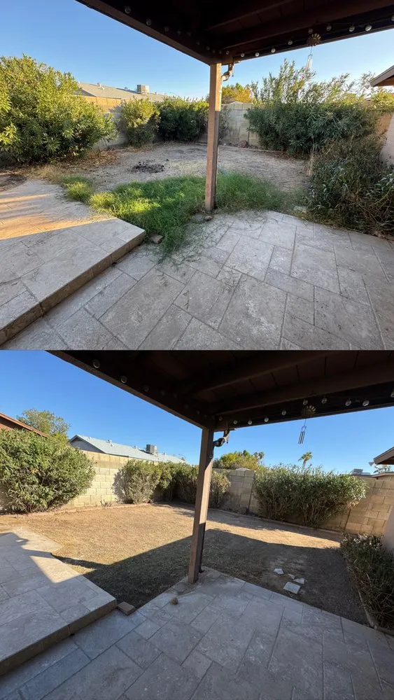 Affordable lawn care service in Phoenix, AZ by Sunscape Service