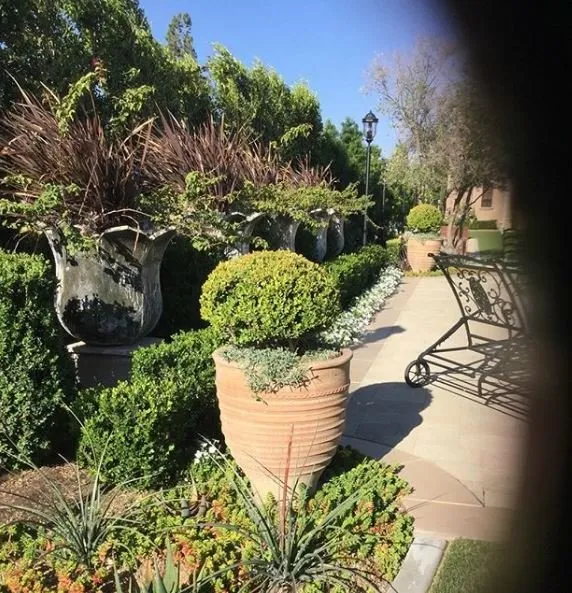 Local lawn mowing service in Upland, CA - SunScapes Landscape Company