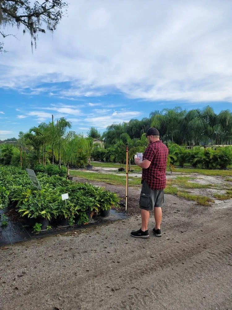 Professional lawn care service for beautiful yards across Port Richey, FL - Sunset Cove Outdoor Services