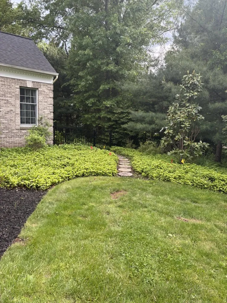 Professional landscaping services for year-round maintenance across Skillman, NJ - Sunset Creations