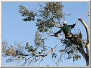 Affordable garden landscaping for residential properties in Narragansett, RI by Sunset Farm