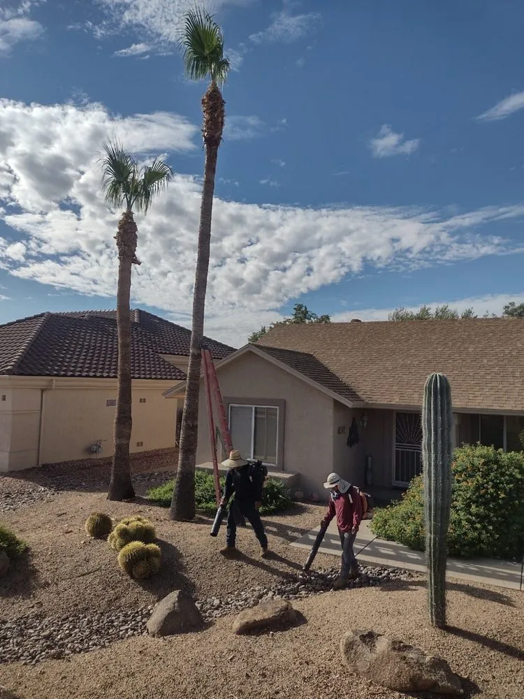Custom lawn mowing service in El Mirage, AZ - Sunset Hardscape