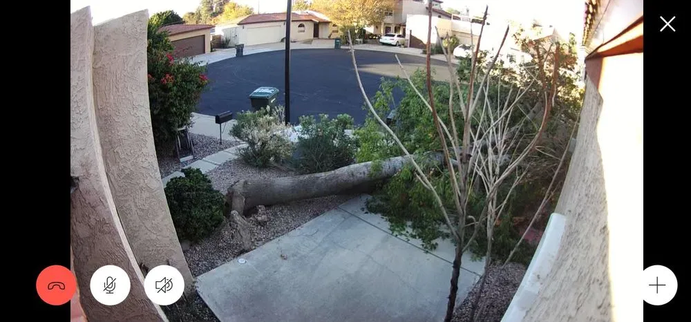 Reliable yard maintenance for residential properties in El Mirage, AZ by Sunset Hardscape