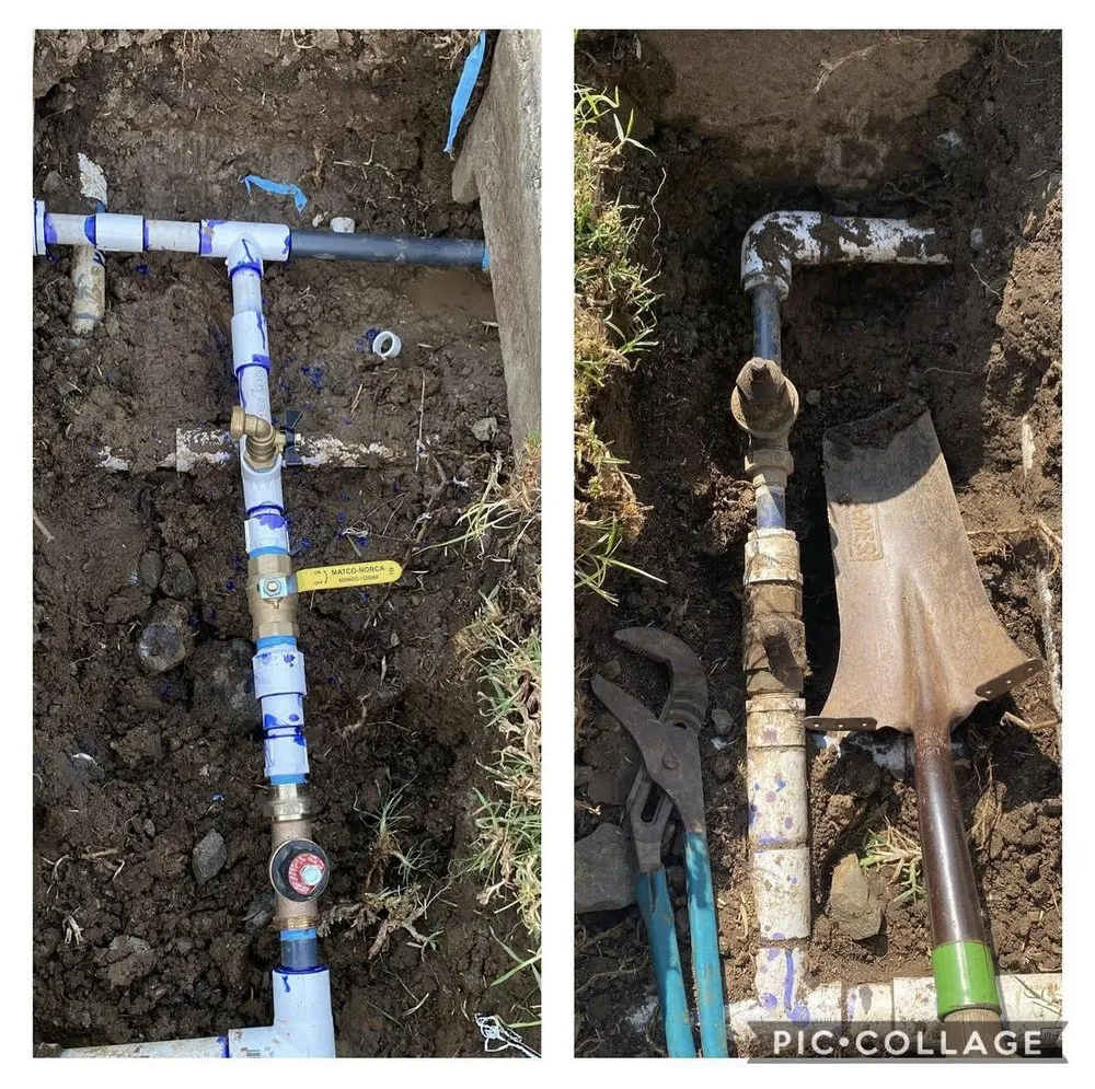 Custom lawn care service for homes across Poway, CA - Sunset Landscape