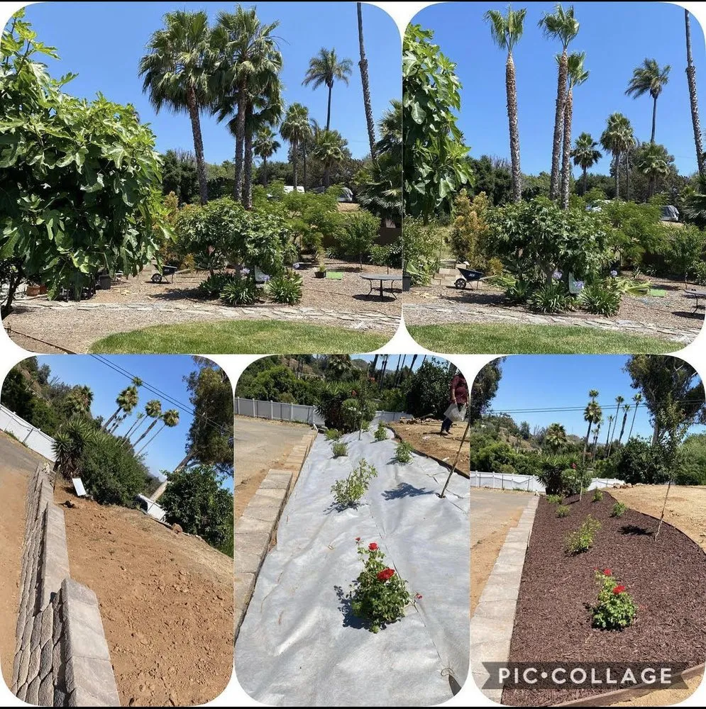 Trusted garden landscaping in Poway, CA by Sunset Landscape