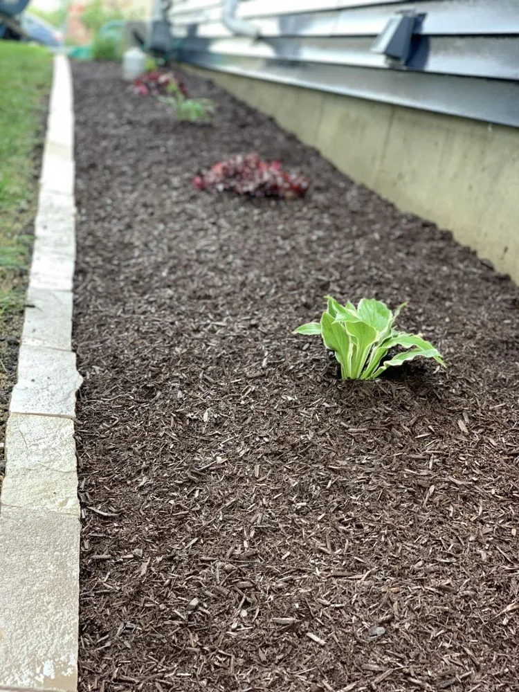 Affordable landscape installation near you in Gifford, IL by Sunset Landscape Services