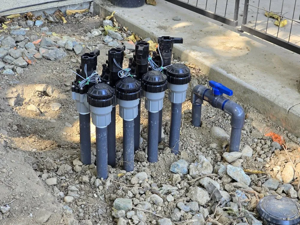 Top-rated lawn mowing service in Orland, CA - Sunset Landscapes