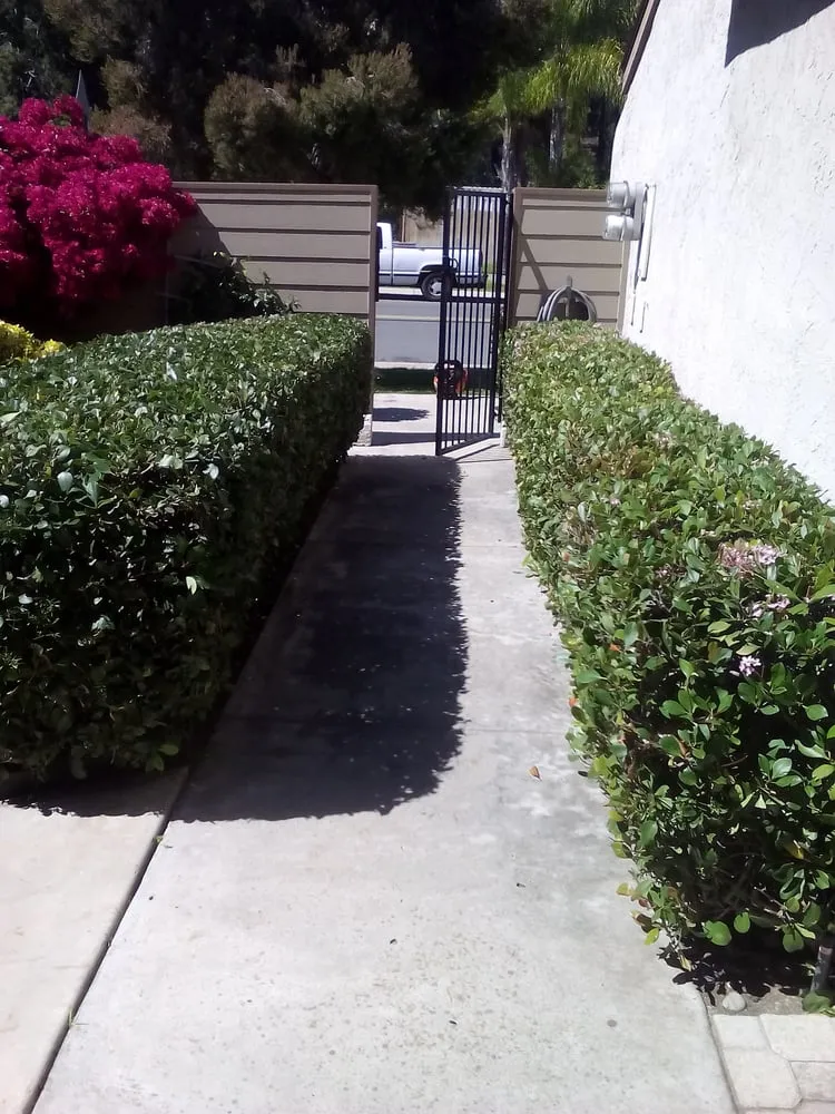 Trusted lawn care service for outdoor upgrades in San Diego, CA by Sunset Landscaping & Maintenance