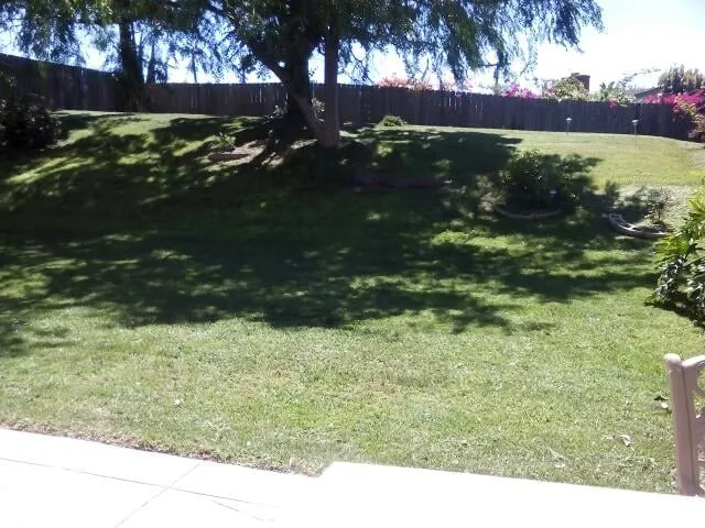Affordable yard maintenance experts serving San Diego, CA - Sunset Landscaping & Maintenance