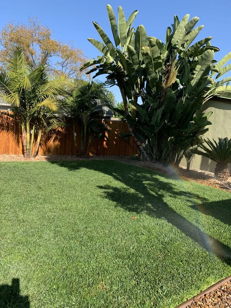 Expert garden landscaping for beautiful yards across San Diego, CA - Sunset Landscaping & Maintenance