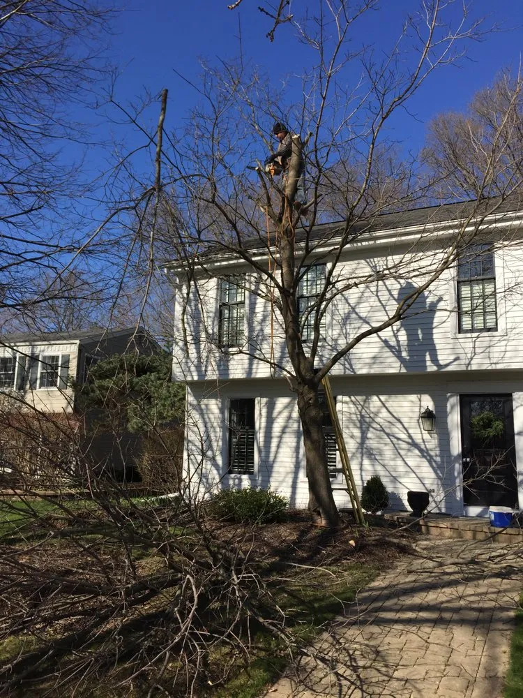 Professional residential landscaping in Aurora, IL - Sunset Landscaping & Pro Brick Paving