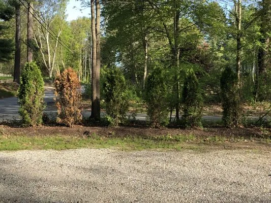 Sunset Landscaping and Nurseries