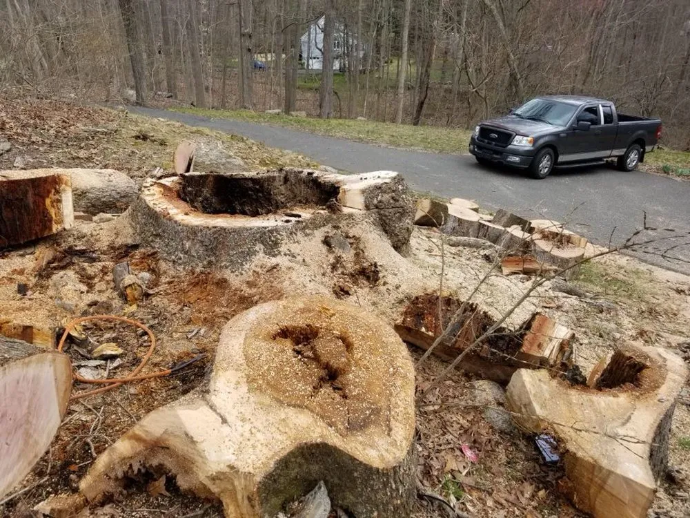 Top-rated landscape design for outdoor upgrades in Bridgeport, CT by Sunset Landscaping