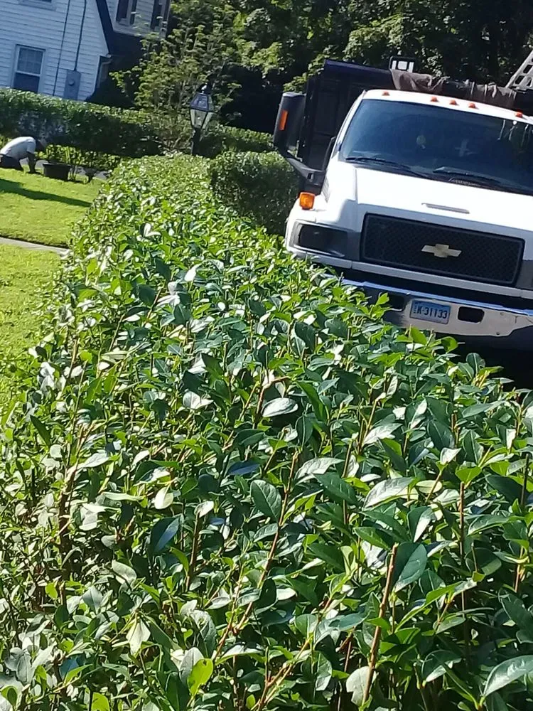 Expert landscaping services for outdoor upgrades across Bridgeport, CT - Sunset Landscaping