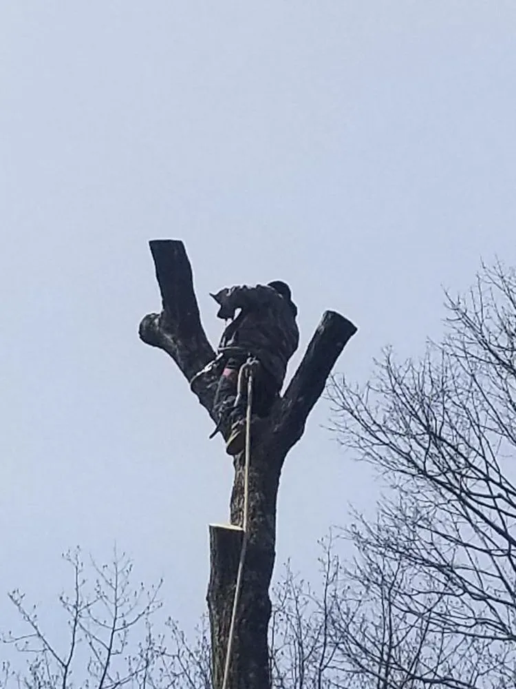 Top-rated residential landscaping in Bridgeport, CT - Sunset Landscaping