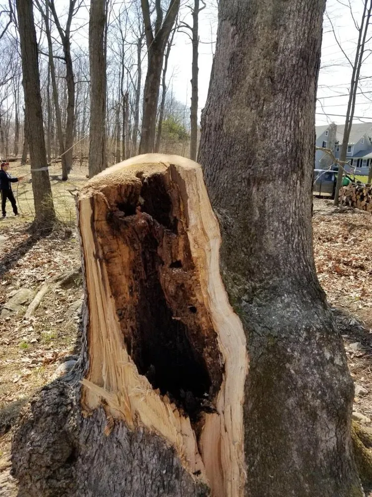 Trusted landscaping services experts serving Bridgeport, CT - Sunset Landscaping