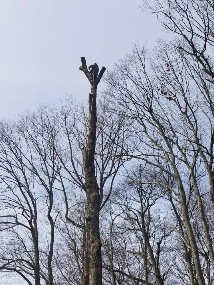 Local lawn care service for homes in Bridgeport, CT by Sunset Landscaping