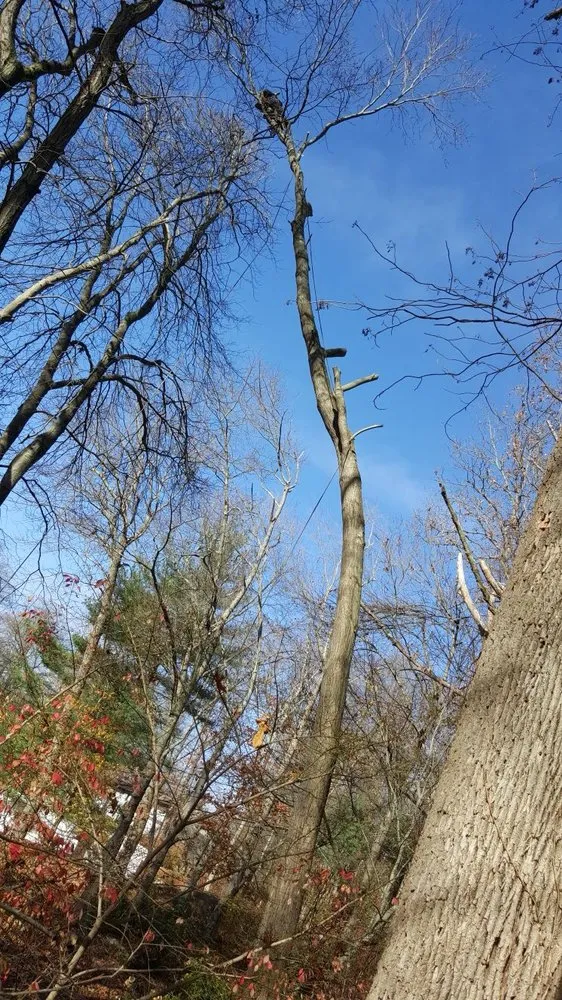 Professional outdoor landscaping for beautiful yards in Bridgeport, CT by Sunset Landscaping