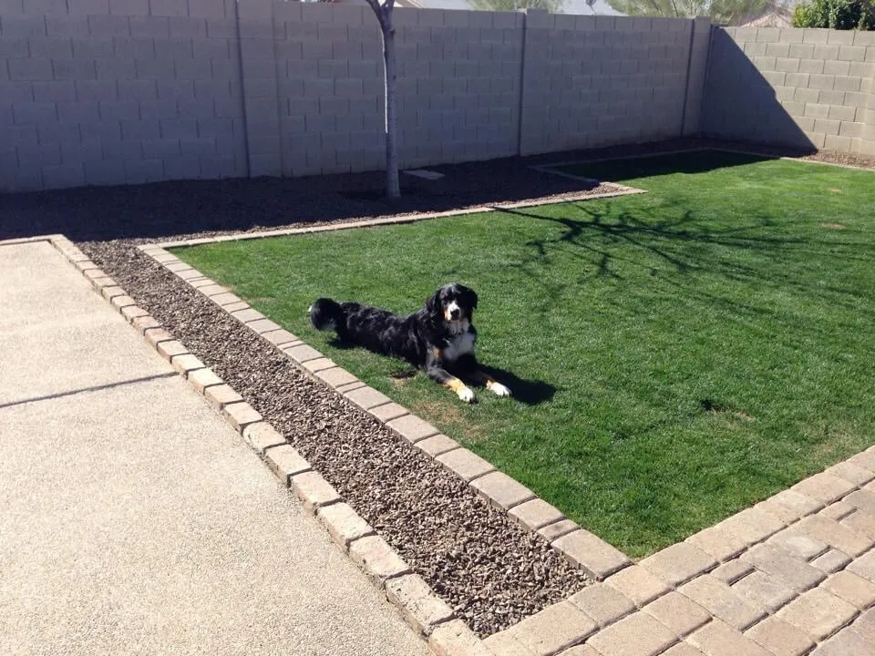 Affordable outdoor landscaping experts serving Phoenix, AZ - Sunset Landscaping