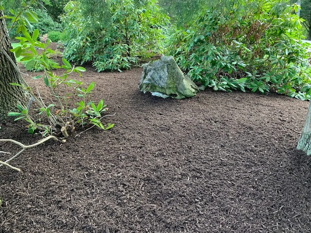 Expert yard cleanup service in Hackettstown, NJ - Sunset Landscaping Services