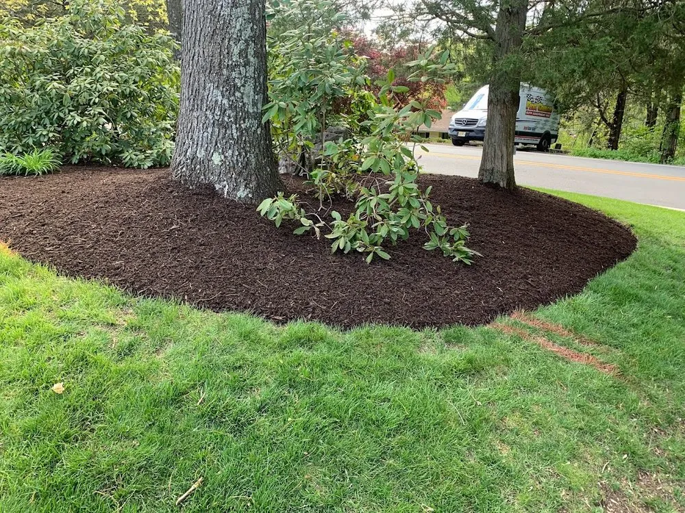 Trusted yard maintenance for beautiful yards across Hackettstown, NJ - Sunset Landscaping Services