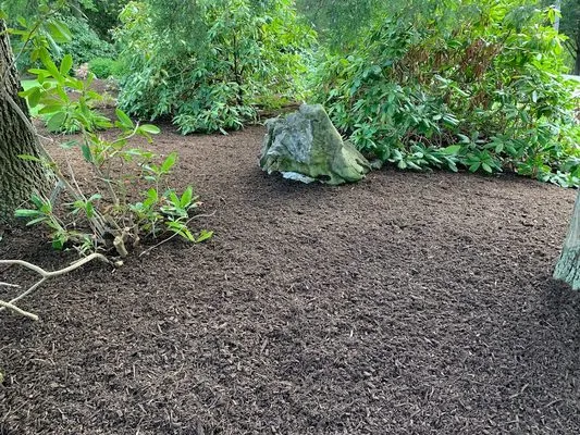 Sunset Landscaping Services