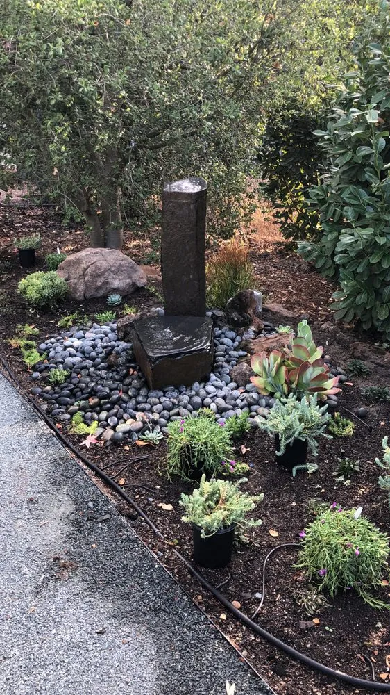 Affordable yard maintenance in Redwood City, CA - Sunset Lanscaping