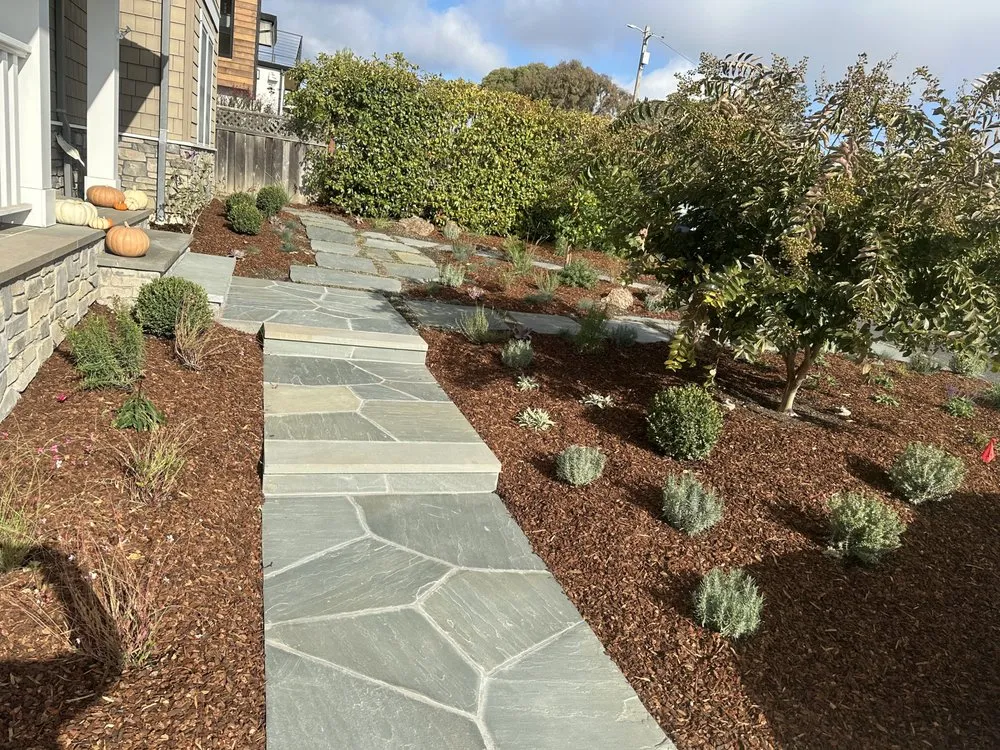 Expert yard cleanup service experts serving Redwood City, CA - Sunset Lanscaping