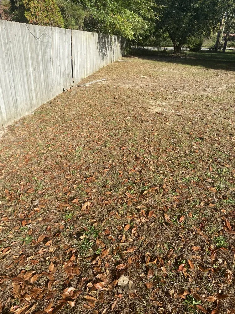 Trusted landscape installation experts serving Fayetteville, NC - Sunset Lawn Care