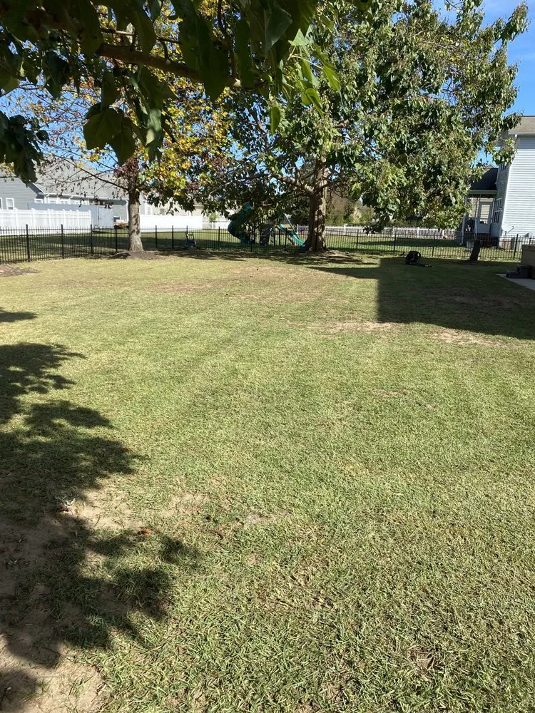 Reliable lawn mowing service experts serving Fayetteville, NC - Sunset Lawn Care