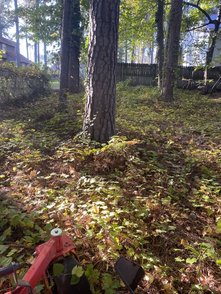 Reliable outdoor landscaping in Fayetteville, NC - Sunset Lawn Care