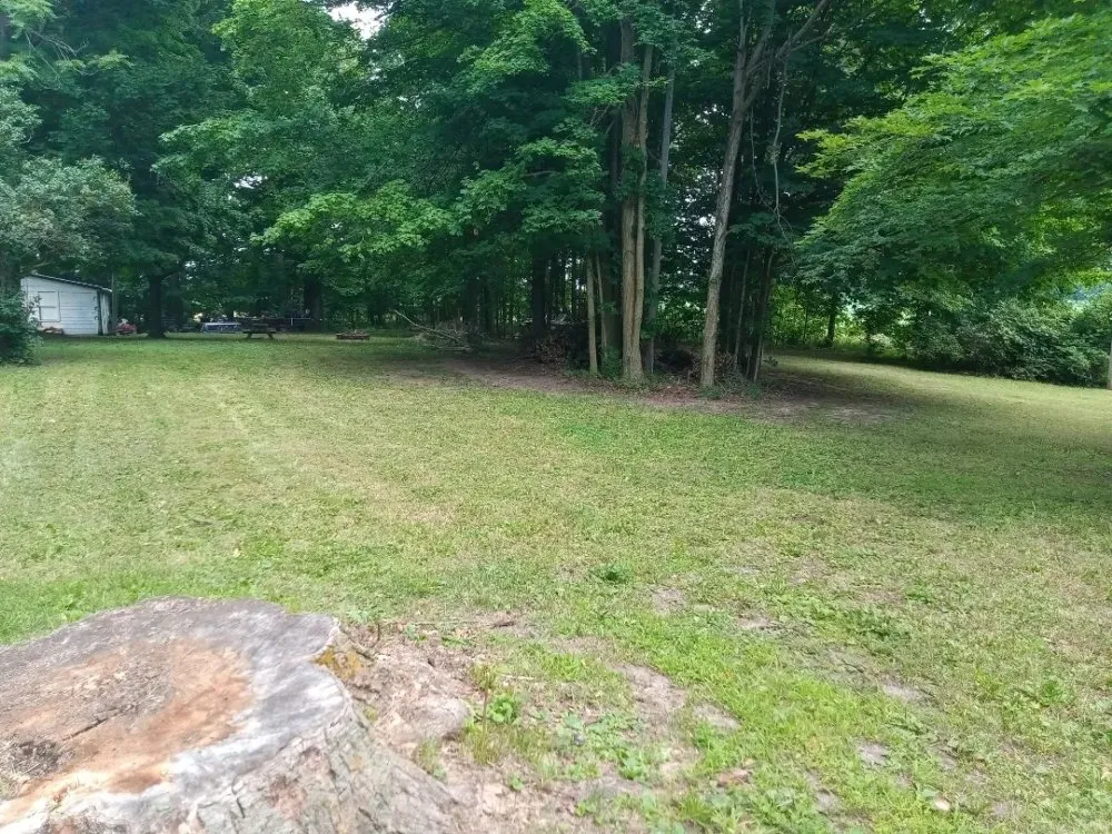 Affordable garden landscaping for outdoor upgrades in Charlotte, MI by Sunset Lawn Mowing