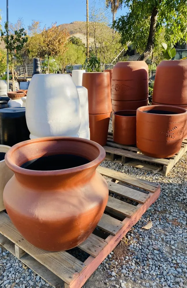 Reliable landscape design for outdoor upgrades in Lake Elsinore, CA by Sunset Nursery & Garden