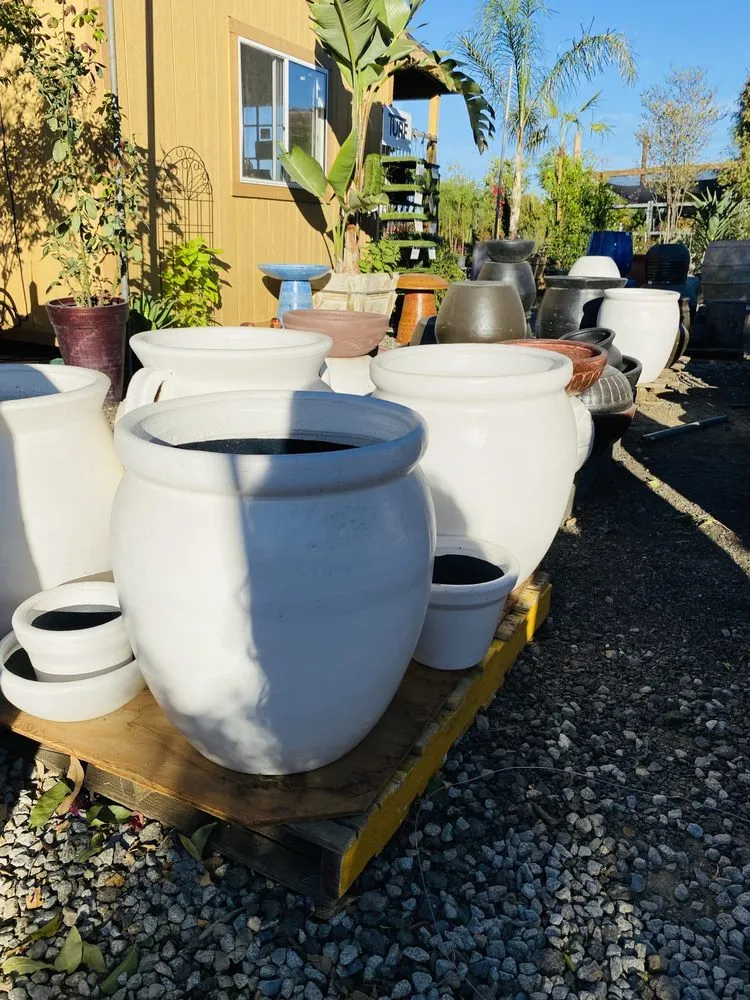 Reliable lawn mowing service for homes in Lake Elsinore, CA by Sunset Nursery & Garden