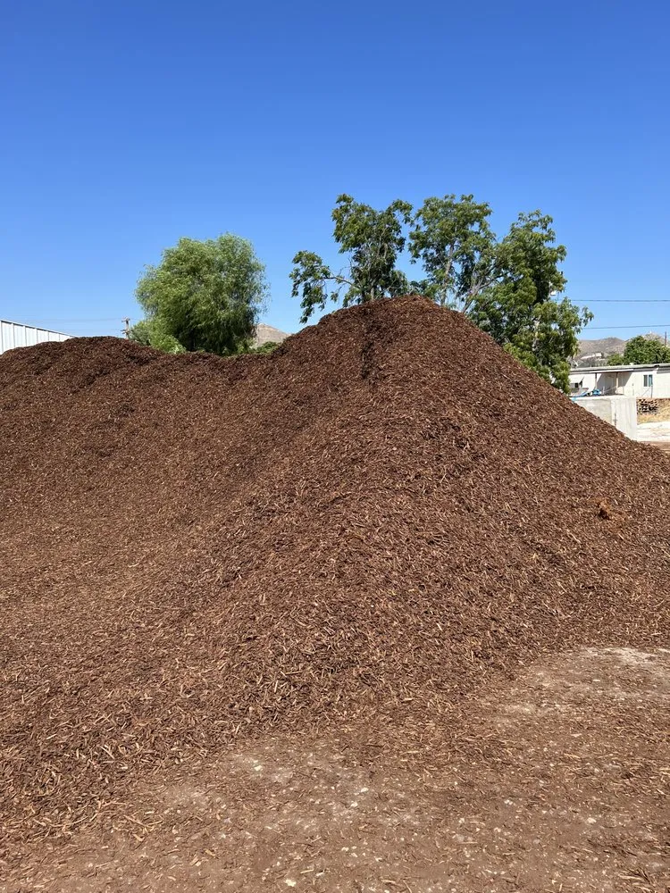 Reliable yard maintenance in Lake Elsinore, CA by Sunset Nursery & Garden