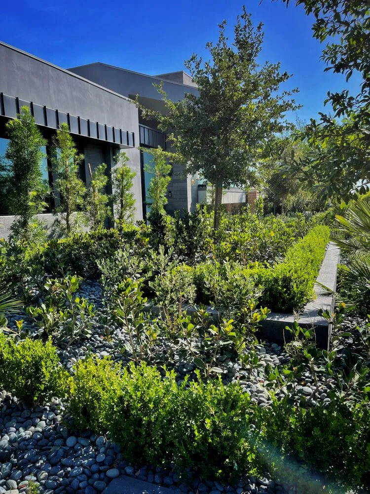 Custom landscape installation with custom design across Henderson, NV - Sunset Oasis Custom Pools and Landscaping