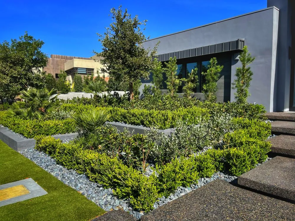 Reliable landscaping services near you in Henderson, NV by Sunset Oasis Custom Pools and Landscaping