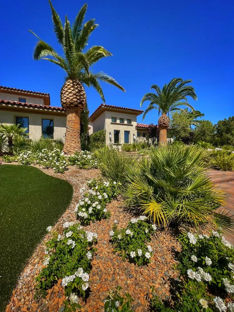 Affordable yard maintenance with custom design in Henderson, NV by Sunset Oasis Custom Pools and Landscaping