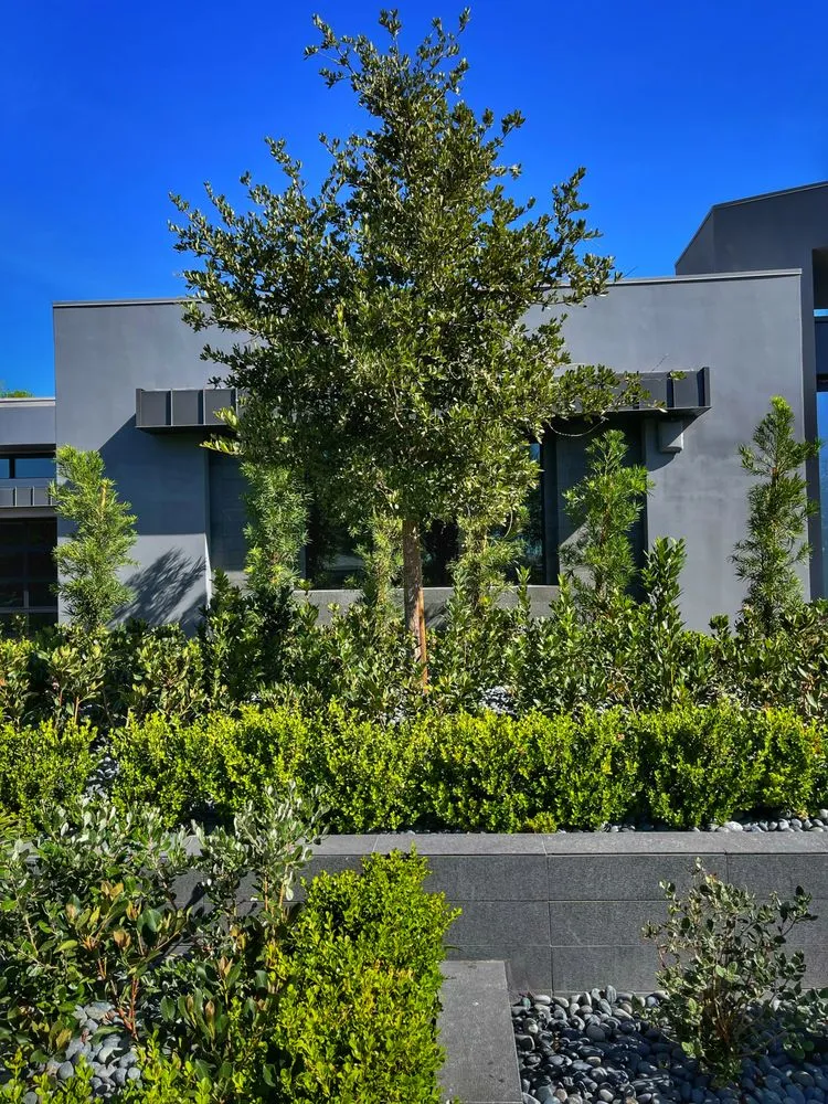 Reliable lawn care service for outdoor upgrades in Henderson, NV by Sunset Oasis Custom Pools and Landscaping