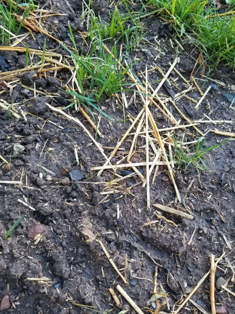 Reliable garden landscaping in Elmwood Park, NJ by Sunset Ridge Landscaping