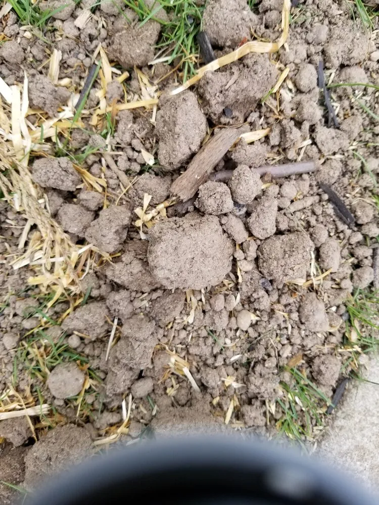 Expert landscape installation in Elmwood Park, NJ - Sunset Ridge Landscaping