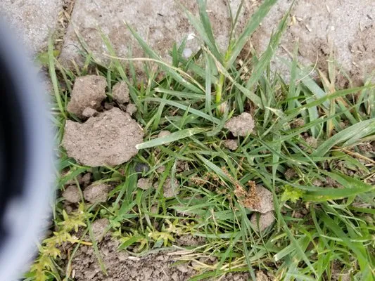 Sunset Ridge Landscaping Logo