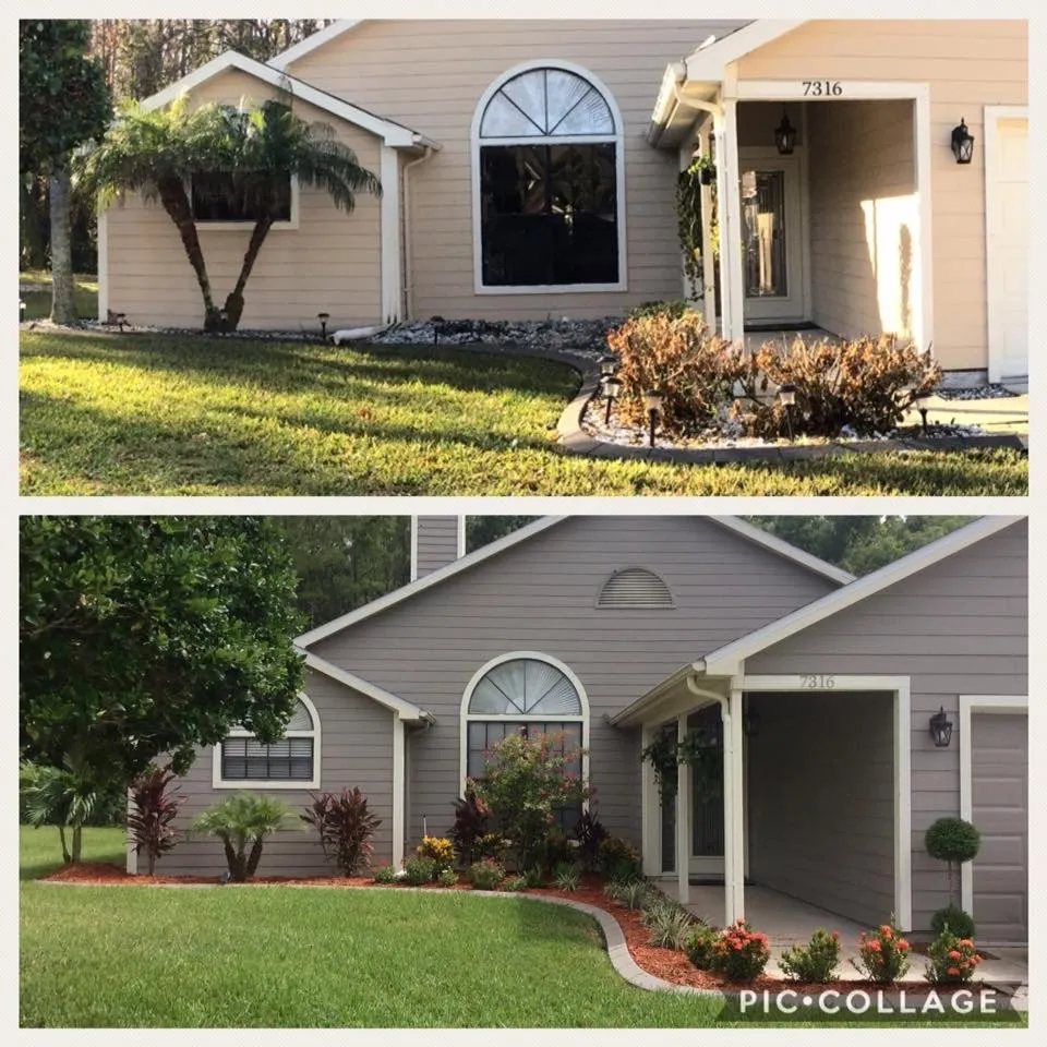 Reliable yard maintenance in Tampa, FL by Sunset Services