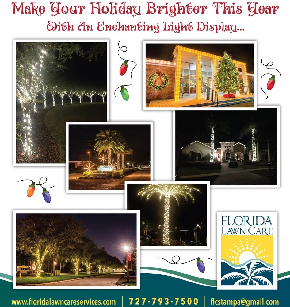 Trusted yard cleanup service in Tampa, FL by Sunset Services