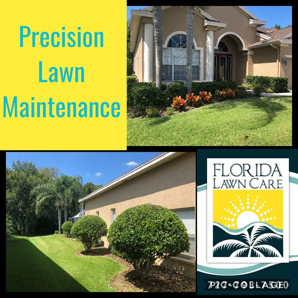 Local residential landscaping experts serving Tampa, FL - Sunset Services