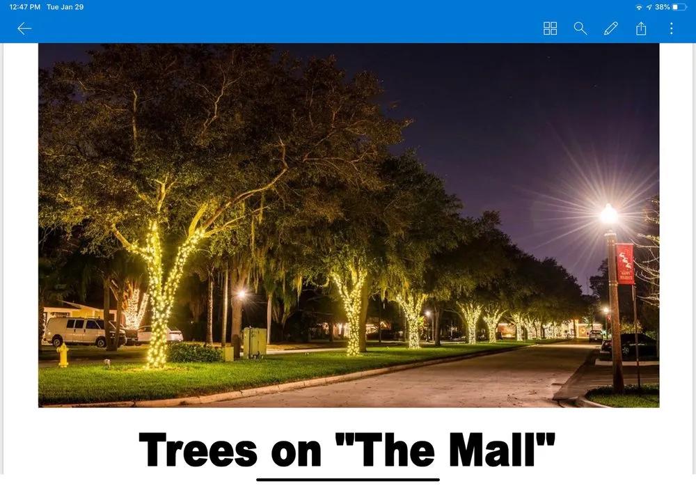 Top-rated outdoor landscaping for year-round maintenance across Tampa, FL - Sunset Services